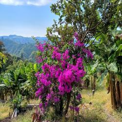 Hacienda La Bonita Paradise 5