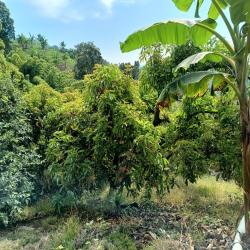 Hacienda La Bonita Paradise 8