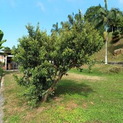 Hacienda La Bonita Paradise 31