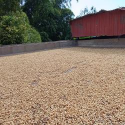 Hacienda La Bonita Paradise 41