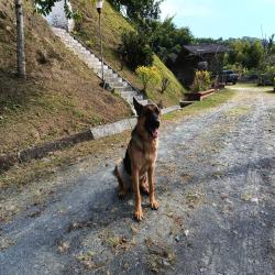 Hacienda La Bonita Paradise 49