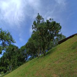 Hacienda La Bonita Paradise 55