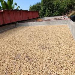 Hacienda La Bonita Paradise 59