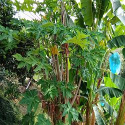 Hacienda La Bonita Paradise 65