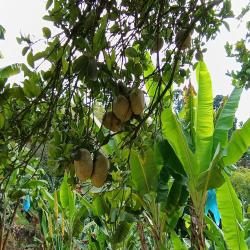 Hacienda La Bonita Paradise 70