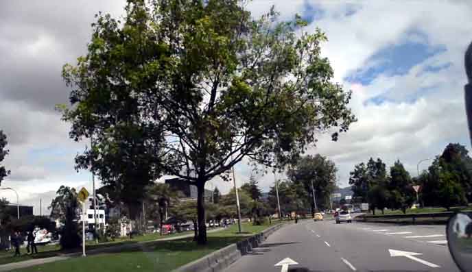 Servicio de taxi en Pereira